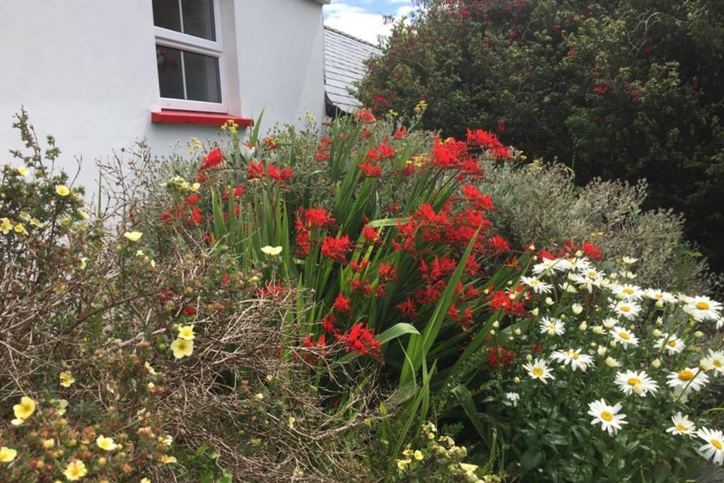 Carrowauff Red Stonecutters Cottage, Doolin מראה חיצוני תמונה
